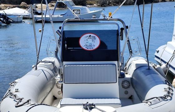RIB Boss - Evinrude E150DPL