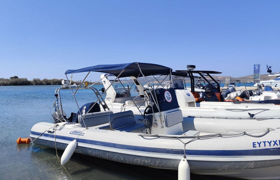 RIB Boss - Evinrude E150DPL