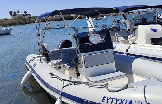 RIB Boss - Evinrude E150DPL