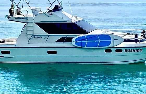 Motorboat Intermarine Oceanic 36