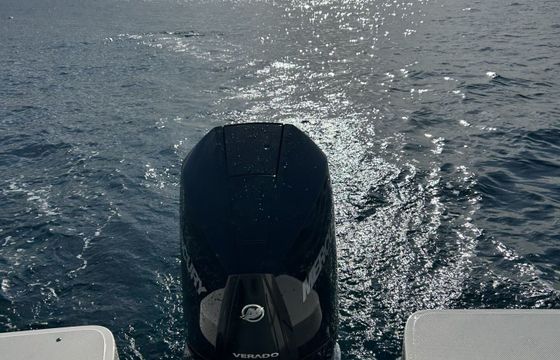 Motorboat Quicksilver Quicksilver 805 open 250hp