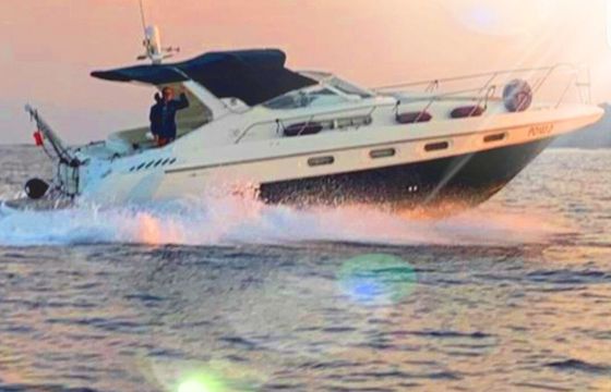 Motorboat Sealine 360 Sport Ambassador 520hp