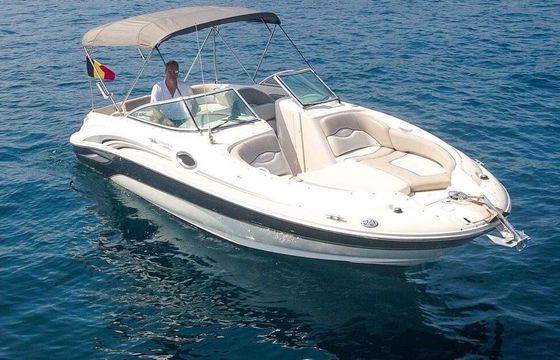 Motorboat Sea Ray 240 Sundeck 320hp