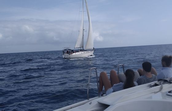 Sailboat Dufour Yachts 43 classic 13m