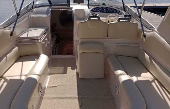 Motorboat Runner Runner 380 220hp