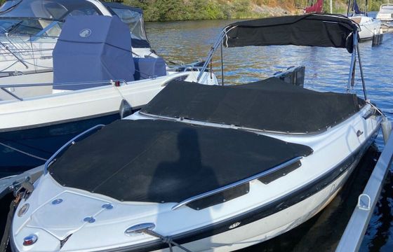 Motorboat Crownline 206 LS 260hp