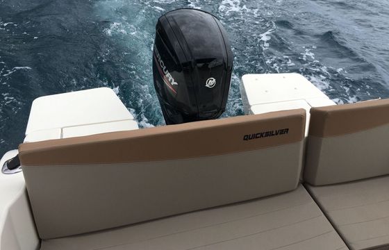 Motorboat Quicksilver 605 Activ Open 115hp