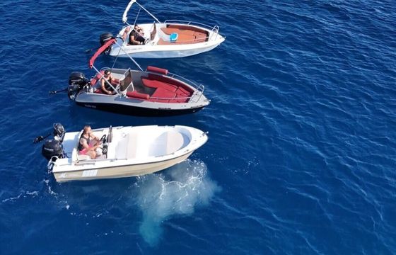 Boat without licence Cobra 495 30hp