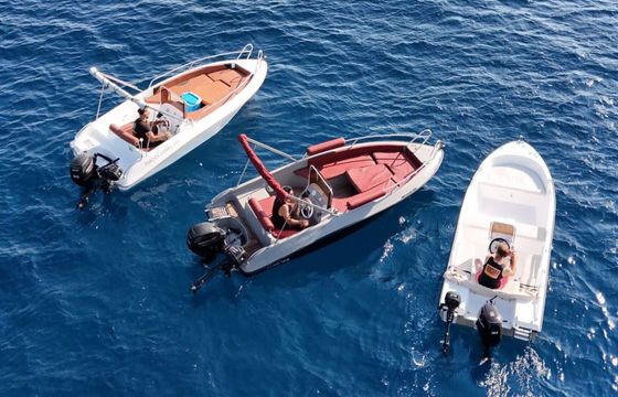Boat without licence Cobra 495 30hp