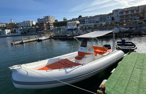 RIB Prodigio’S Wave PY60 40hp
