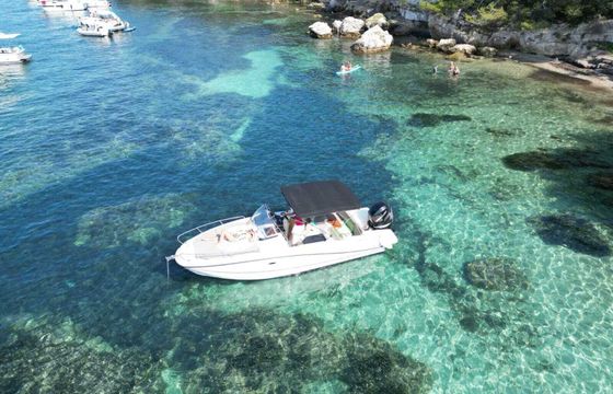 Motorboat Quicksilver Activ 755 Sundeck 250hp