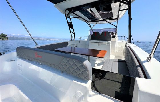 Motorboat Saver 870 WA 400hp