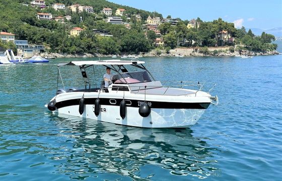 Motorboat Saver 870 WA 400hp