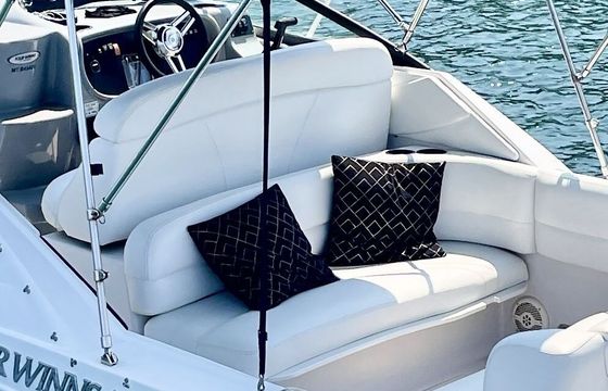 Motorboat Four Winns 238 vista 270hp