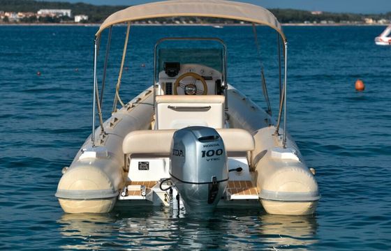 RIB Tigermarine 550 Proline 100hp