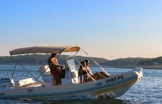 RIB Tigermarine 550 Proline 100hp