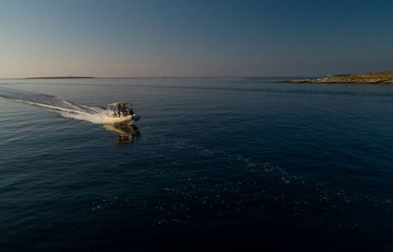 RIB Tigermarine 550 Proline 100hp