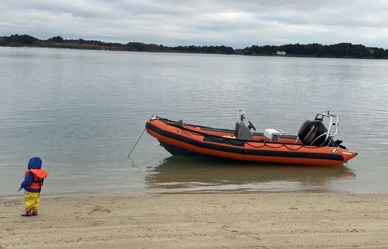Motorboat Zodiac Srmn 600 115hp