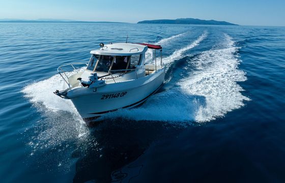 Motorboat Arvor Arvor 25 115hp