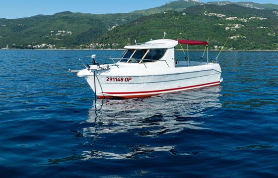 Motorboat Arvor Arvor 25 115hp