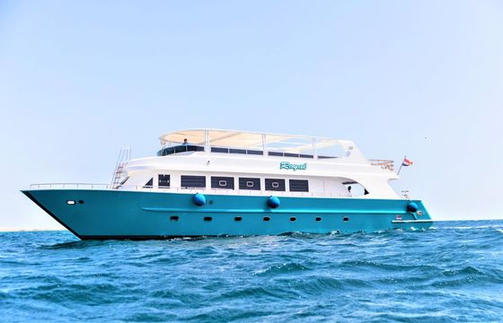 Motor yacht Cruisers 2022 1300hp