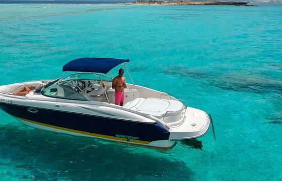 Motorboat MONTEREY 278 SS 320hp