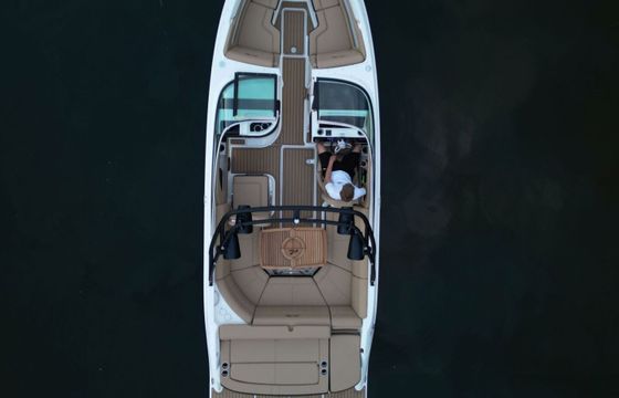 Motorboat Sea Ray 250 SLX 350hp