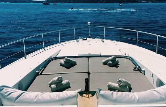 Motor yacht LEOPARD - Chantier arno 23 hardtop sport 2400hp
