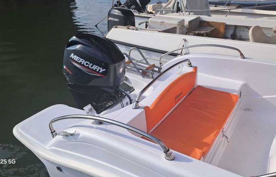 Boat without licence  TANCREDI BARCHE SICILIA BLUMAX19 PRO 40hp