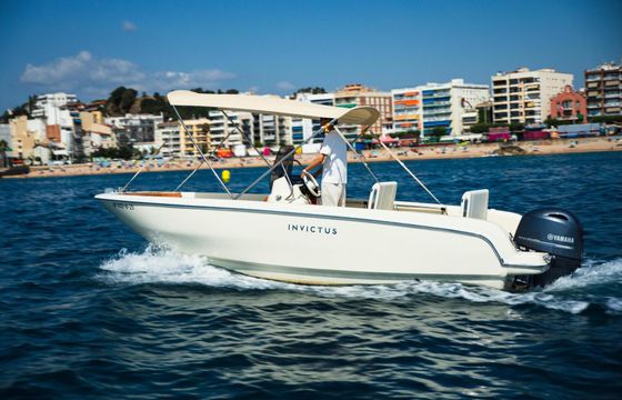 Motorboat Invictus Fx 190 115hp