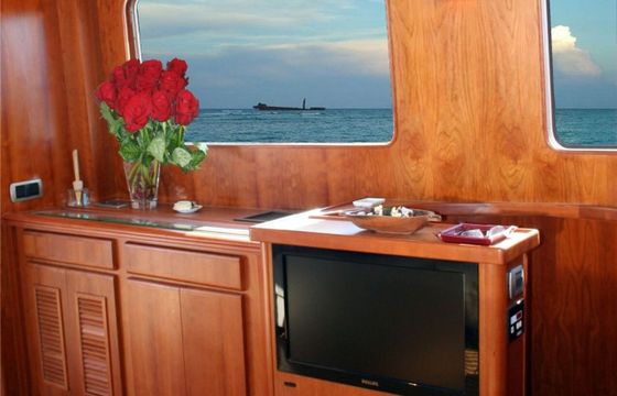 Motor yacht CUSTOM Trawler 60 440hp