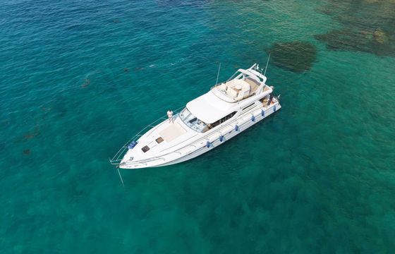 Motor yacht Princess 65