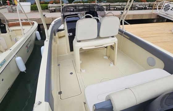Motorboat Fairline INVICTUS FX240 250hp