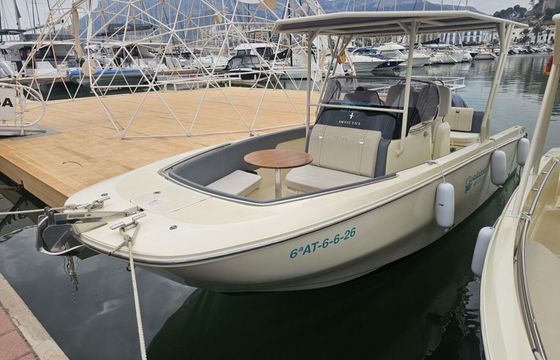 Motorboat Fairline INVICTUS FX240 250hp
