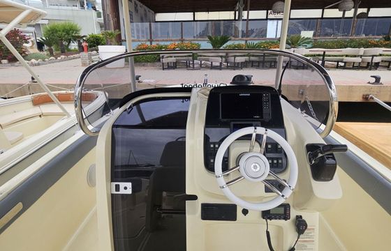 Motorboat Fairline INVICTUS FX240 250hp