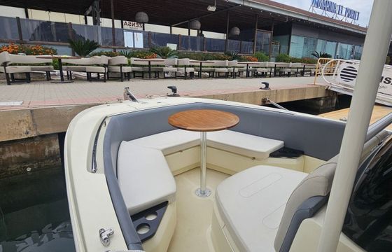 Motorboat Fairline INVICTUS FX240 250hp