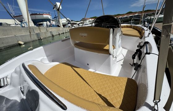 Boat without licence  Ranieri Shark 17 40hp
