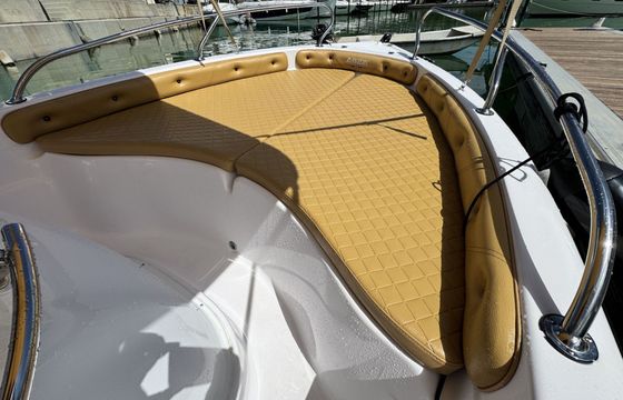 Boat without licence  Ranieri Shark 17 40hp