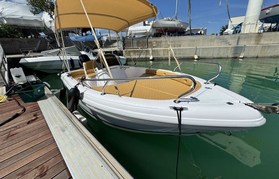 Boat without licence  Ranieri Shark 17 40hp