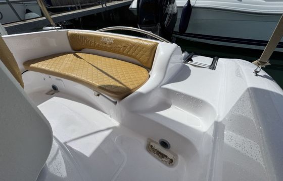 Boat without licence  Ranieri Shark 17 40hp
