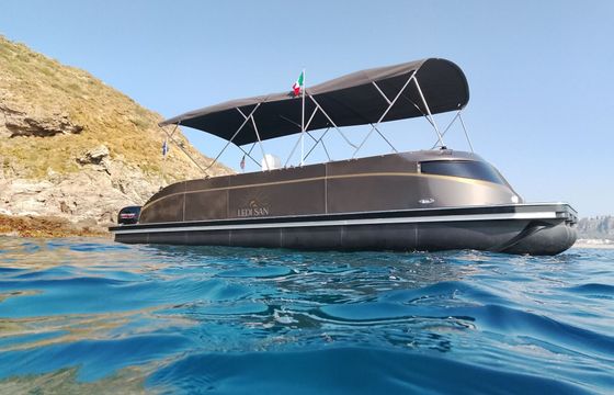 Motorboat Swiss-Boats Pontoon Luxury Boat 150hp