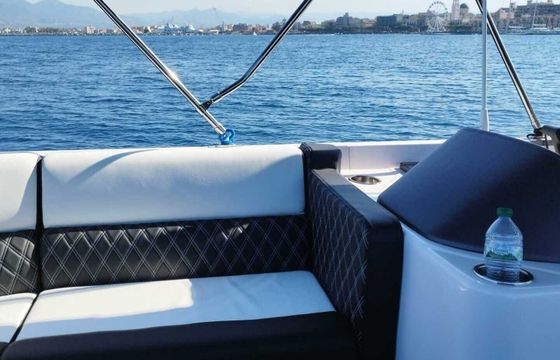 Motorboat Swiss-Boats Pontoon Luxury Boat 150hp