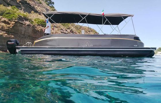 Motorboat Swiss-Boats Pontoon Luxury Boat 150hp