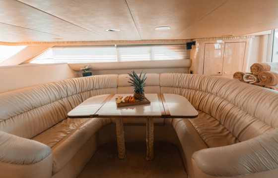 Motorboat Sea Ray Flybridge 50ft