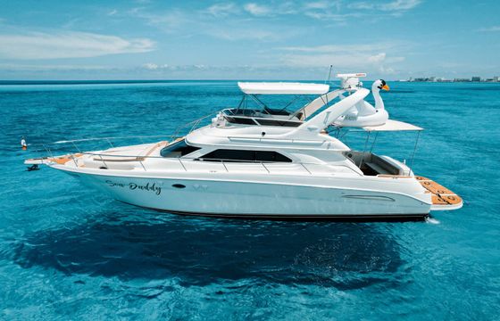 Motorboat Sea Ray Flybridge 50ft
