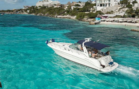 Motorboat Sea Ray Sundancer 300hp