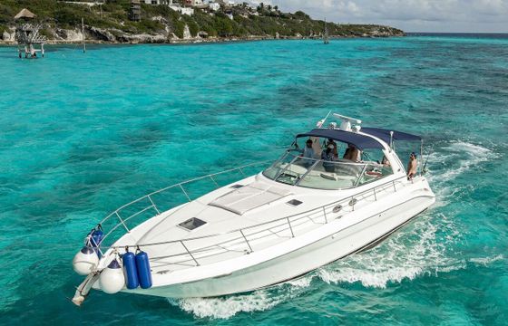 Motorboat Sea Ray Sundancer 300hp