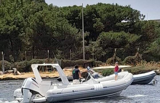 RIB Alson 750 flash 250hp
