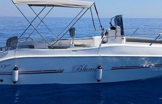 Boat without licence Blumax 23 40hp