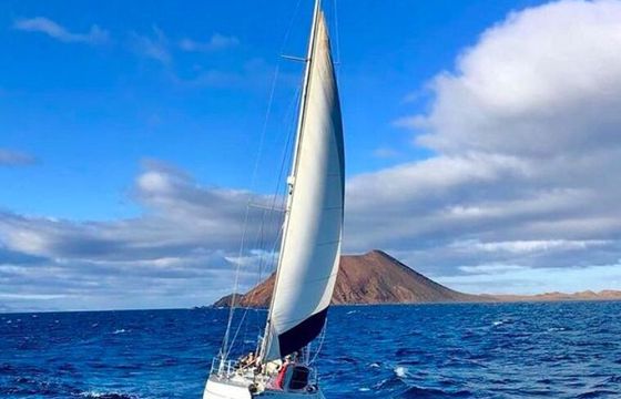Sailboat West wind 35 11m